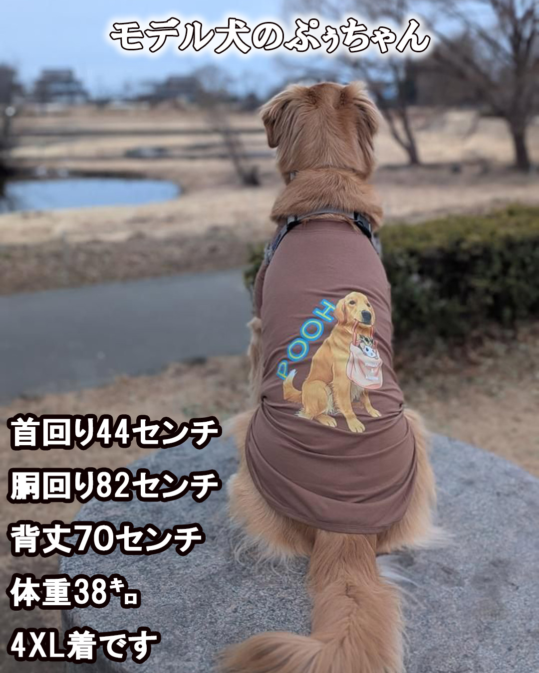 愛犬の名入れが出来る 犬の素！食品表示風名入れ コットン100％Tシャツ 超小型犬〜大型犬 うちの子名前入り犬服 お好きな犬服やTシャツ等にもプリント出来ますの画像