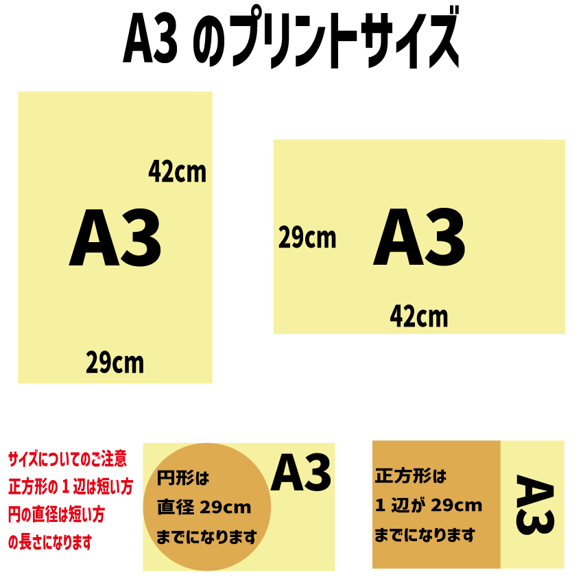 犬用ZIPポケット付きヨットパーカー 犬服 XS~5XL 5色展開 裏起毛 超小型犬、小型犬、中型犬、大型犬 お好きなプリントをお入れしますの画像