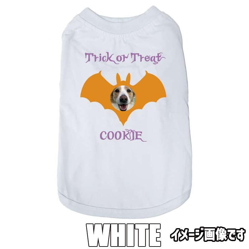 ハロウィン柄！愛犬の写真と名入れが出来る 犬用Tシャツ BATTY  コットン100％  犬服 halloween ハロウィーン風ロゴ 小型犬〜大型犬まで対応 リンクコーデも出来ますの画像
