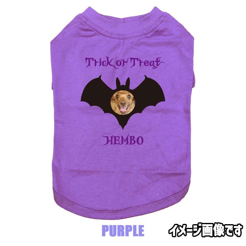 ハロウィン柄！愛犬の写真と名入れが出来る 犬用Tシャツ BATTY  コットン100％  犬服 halloween ハロウィーン風ロゴ 小型犬〜大型犬まで対応 リンクコーデも出来ますの画像