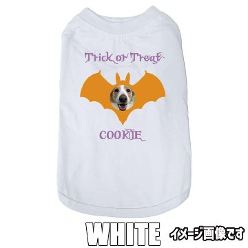 ハロウィン柄！愛犬の写真と名入れが出来る 犬用Tシャツ BATTY  コットン100％  犬服 halloween ハロウィーン風ロゴ 小型犬〜大型犬まで対応 リンクコーデも出来ますの画像