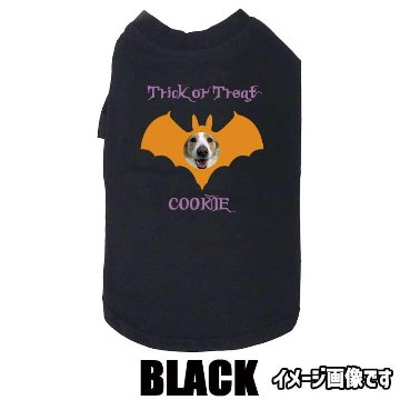 ハロウィン柄！愛犬の写真と名入れが出来る 犬用Tシャツ BATTY  コットン100％  犬服 halloween ハロウィーン風ロゴ 小型犬〜大型犬まで対応 リンクコーデも出来ますの画像