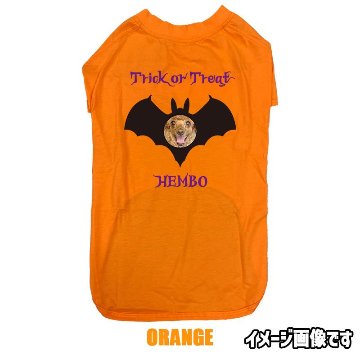 ハロウィン柄！愛犬の写真と名入れが出来る 犬用Tシャツ BATTY  コットン100％  犬服 halloween ハロウィーン風ロゴ 小型犬〜大型犬まで対応 リンクコーデも出来ますの画像