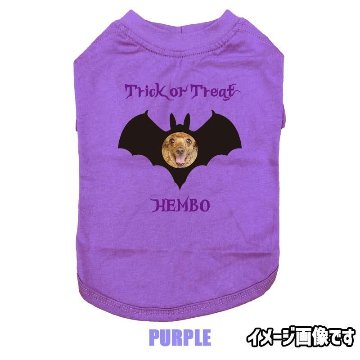 ハロウィン柄！愛犬の写真と名入れが出来る 犬用Tシャツ BATTY  コットン100％  犬服 halloween ハロウィーン風ロゴ 小型犬〜大型犬まで対応 リンクコーデも出来ますの画像