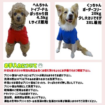 犬用Ｔシャツ 犬服 コットン100％ S~4XL 10色展開 超小型犬、小型犬、中型犬、大型犬 お好きなプリントをお入れします　dog-te-6cの画像