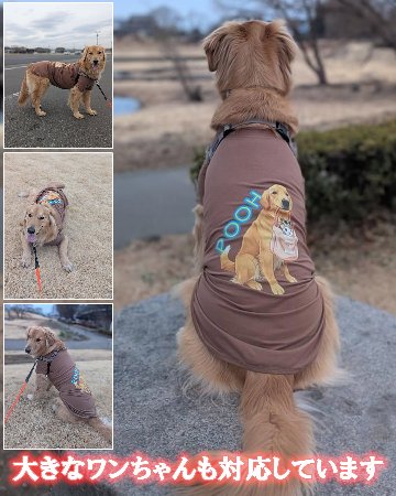 犬用Ｔシャツ 犬服 コットン100％ S~4XL 10色展開 超小型犬、小型犬、中型犬、大型犬 お好きなプリントをお入れします　dog-te-6cの画像