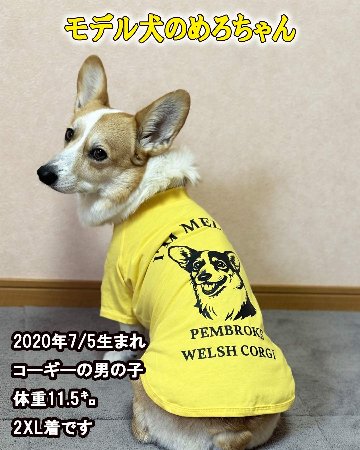 ワンちゃん　お洋服　サンプル 犬用Tシャツ 犬服 コットン100％ S~4XL 10色展開 超小型犬、小型犬