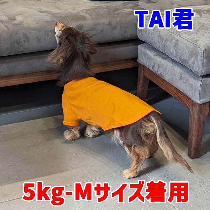 ダックス、コーギー用Ｔシャツ 犬服 コットン100％ S~XL 10色展開 小型犬、中型犬、大型犬 お好きなプリントをお入れします　dog-t-dx-10cの画像