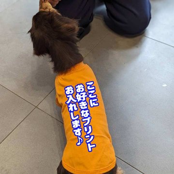 ダックス、コーギー用Ｔシャツ 犬服 コットン100％ S~XL 10色展開 小型犬、中型犬、大型犬 お好きなプリントをお入れします　dog-t-dx-10cの画像