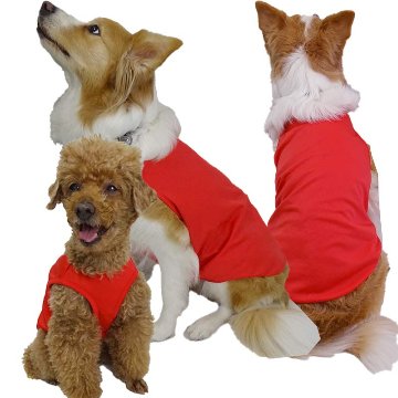 犬用メッシュタンクトップ 犬服 XS~7XL 2色展開 超小型犬、小型犬、中型犬 ,大型犬お好きなプリントをお入れしますの画像