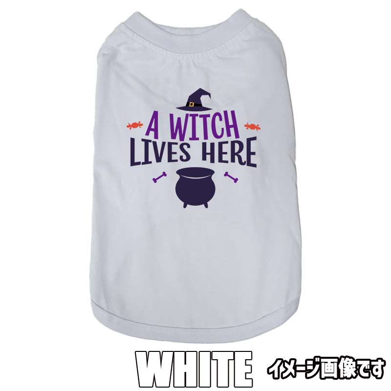 ハロウィン柄！A-WITCH-LIVES-HERE 　お好きな犬服やTシャツ等にプリント致しますの画像