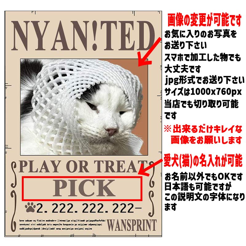 愛犬の名入れ＆写真プリント 【WAN!TED】 パロディー柄 指名手配 WANTED  お好きな犬服やTシャツ等にプリント致しますの画像