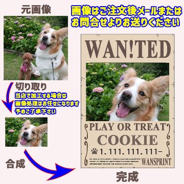 愛犬の名入れ＆写真プリント 【WAN!TED】 パロディー柄 指名手配 WANTED  お好きな犬服やTシャツ等にプリント致しますの画像
