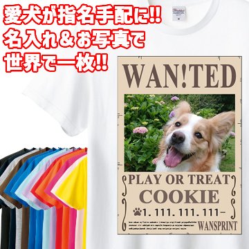 愛犬の名入れ＆写真プリント 【WAN!TED】 パロディー柄 指名手配 WANTED  お好きな犬服やTシャツ等にプリント致しますの画像