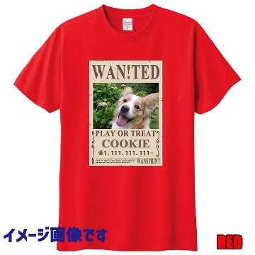 愛犬の名入れ＆写真プリント 【WAN!TED】うちの子Tシャツ パロディー柄 指名手配 WANTED  半袖Tシャツの画像
