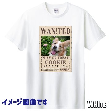 愛犬の名入れ＆写真プリント 【WAN!TED】うちの子Tシャツ パロディー柄 指名手配 WANTED  半袖Tシャツの画像