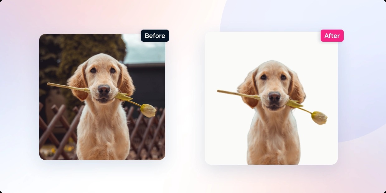 Before After イメージ