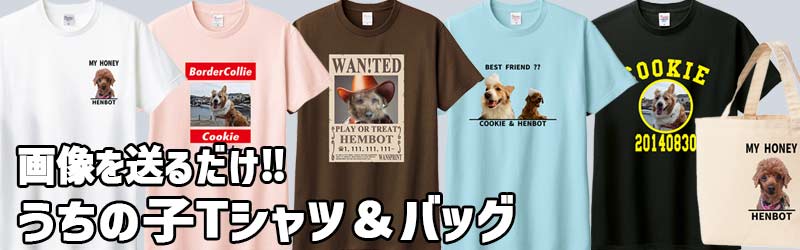 名入れ犬服プリント