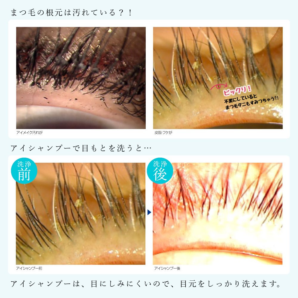アイシャンプーリフレッシュ　95mlの画像
