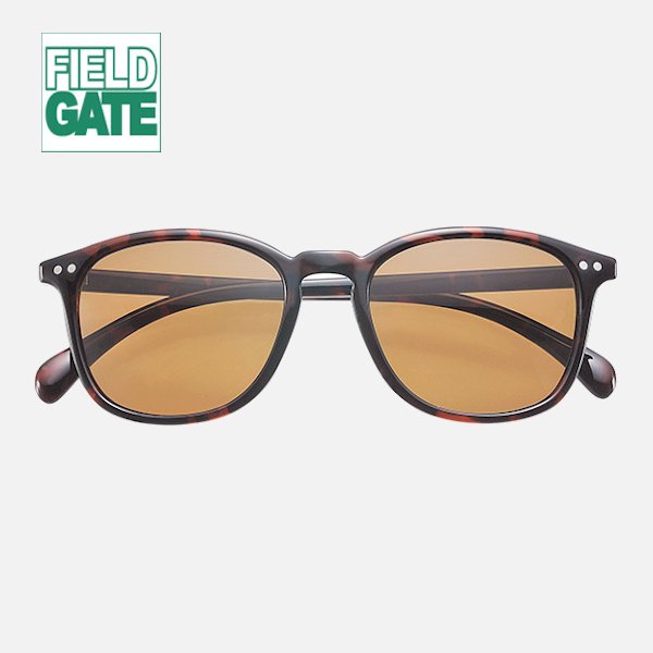 偏光グラス　フィールドゲート　6715の画像